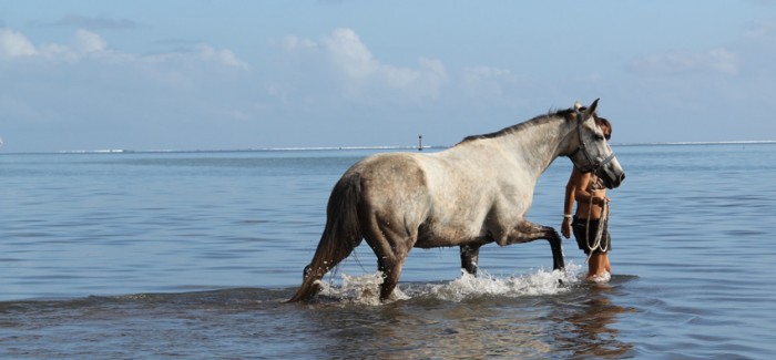 Photo de profil de peta