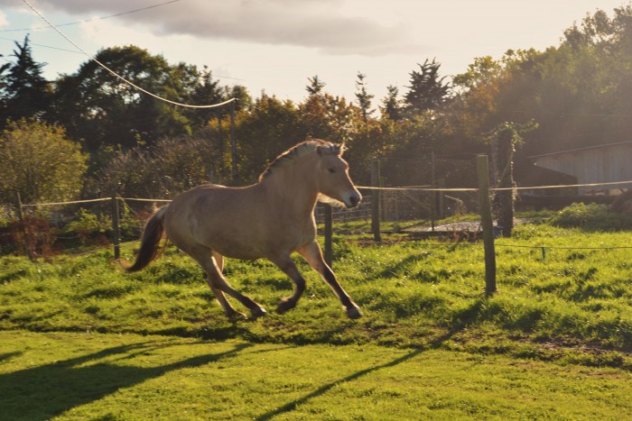 Photo de profil de uta..