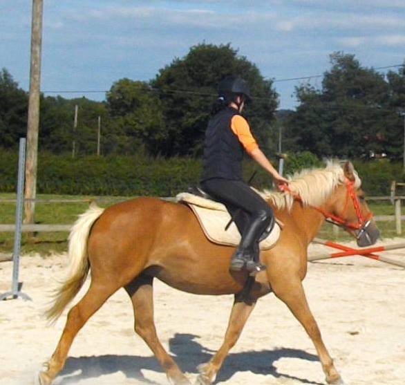 Photo de profil de palomarosham