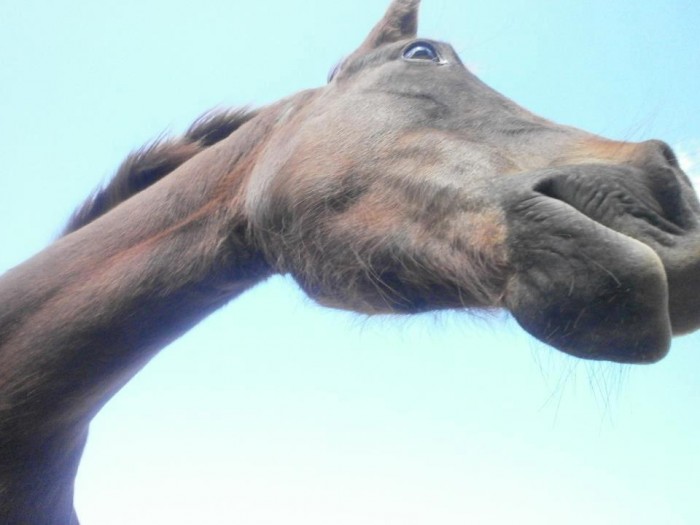 Photo de profil de loulou5923