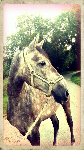 Photo de profil de mariegali