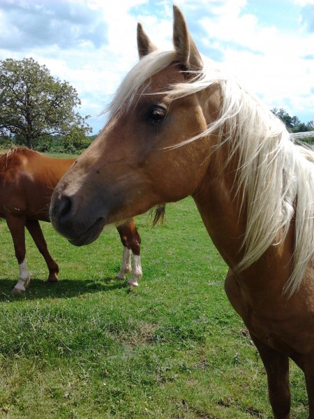 Photo de profil de melclem24