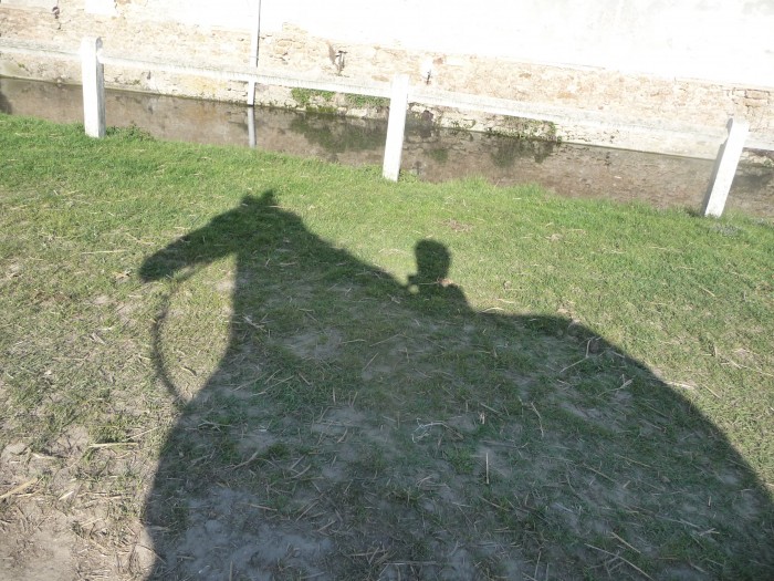 Photo de profil de aupote