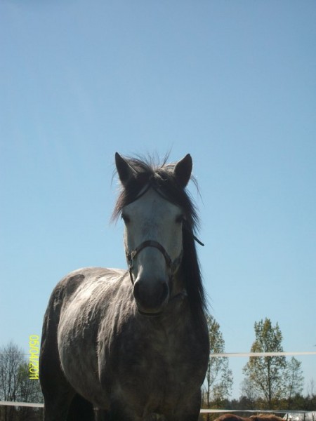 Photo de profil de hanakim