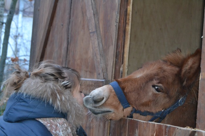 Photo de profil de inemir