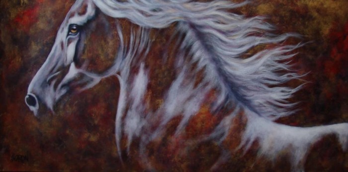 Photo de profil de inooky