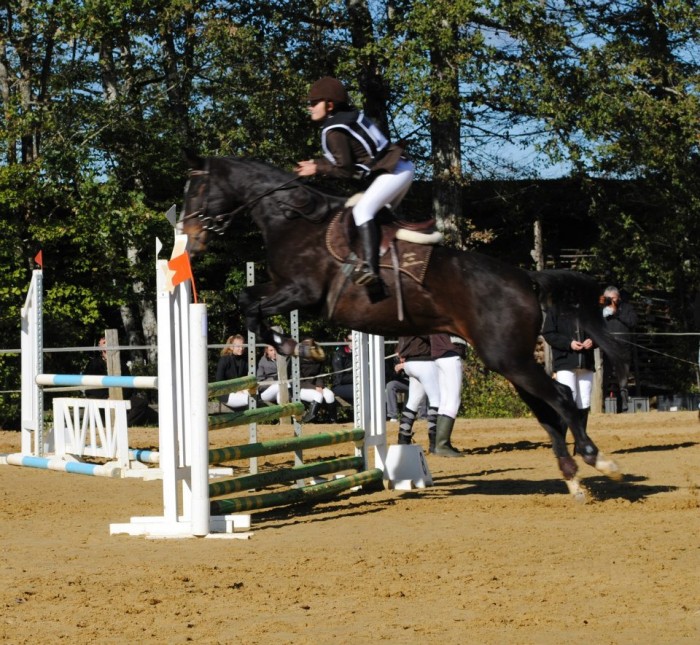 Photo de profil de rehadebridoire