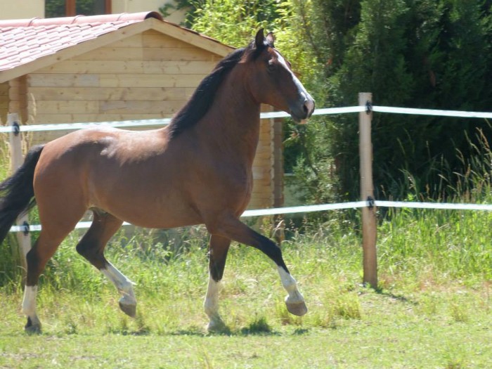 Photo de profil de chiquitopauline