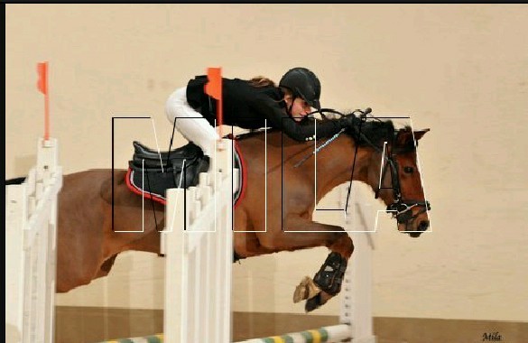 Photo de profil de csofannede