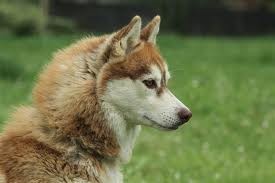 Photo de profil de trex22