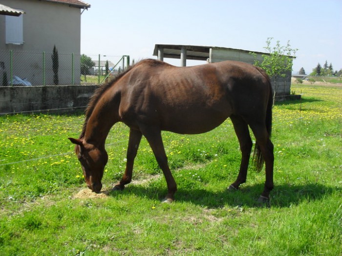 Photo de profil de adlon