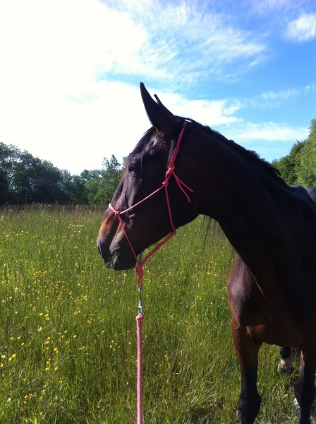 Photo de profil de biskouet04