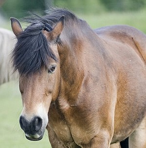 Photo de profil de milka69