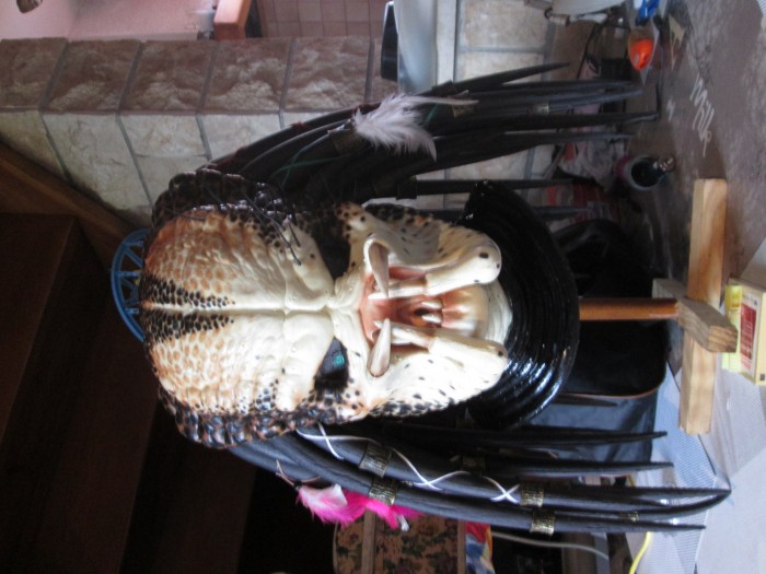 Photo de profil de nicolas43