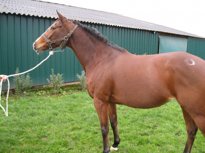 Photo de profil de narbet