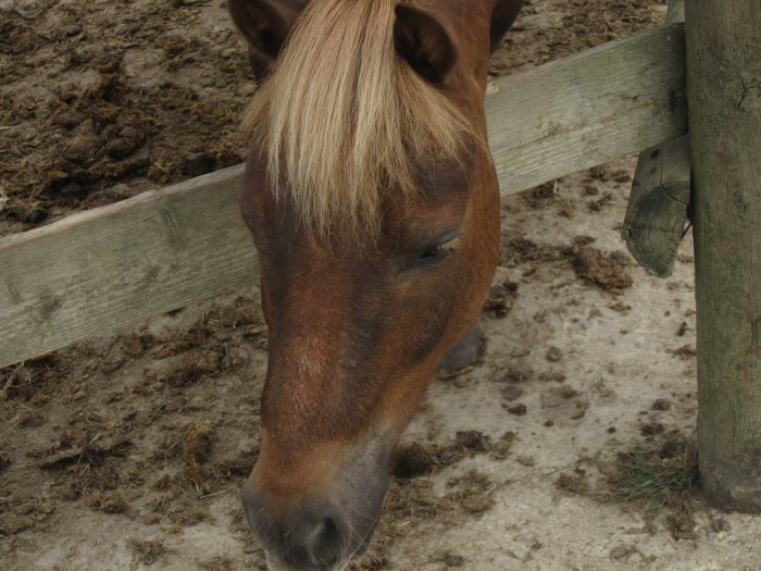 Photo de profil de claire15