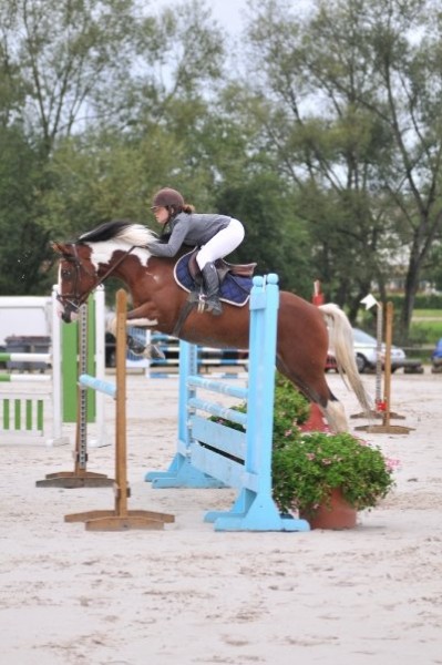 Photo de profil de tous.en.selle88