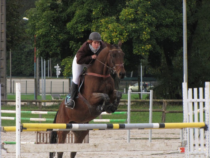 Photo de profil de lolotteshankar
