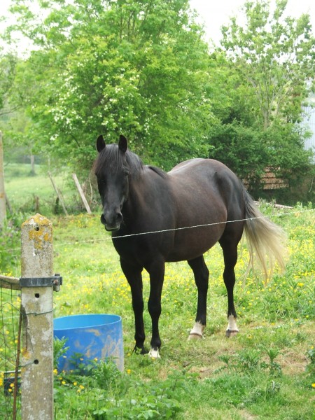 Photo de profil de manou50