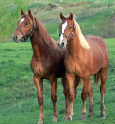 Photo de profil de nedou