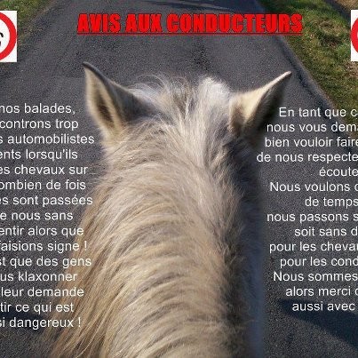 Photo de profil de cavaliermonture