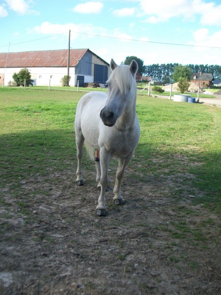 Photo de profil de olivia76