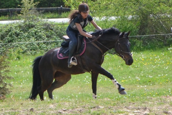 Photo de profil de inesmaharavo