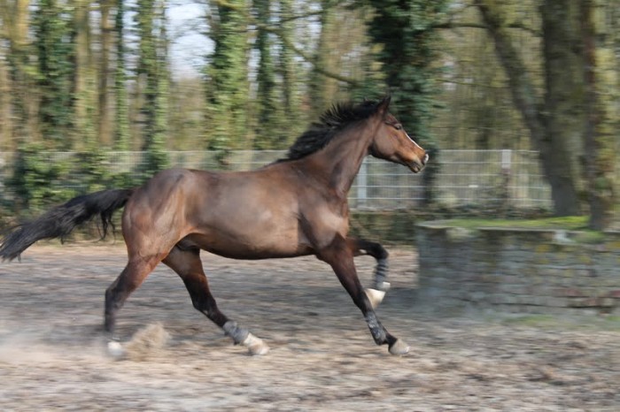 Photo de profil de desireevoitle