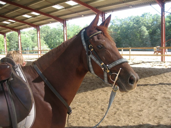 Photo de profil de rammy