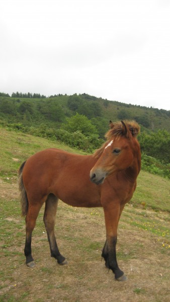 Photo de profil de quiktime