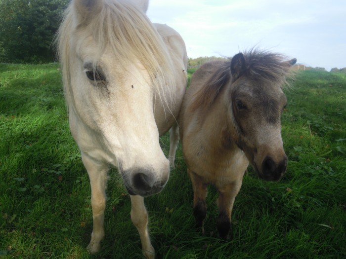 Photo de profil de cheyennecalinka