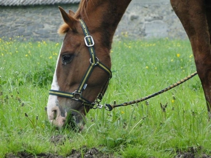 Photo de profil de tachoutte