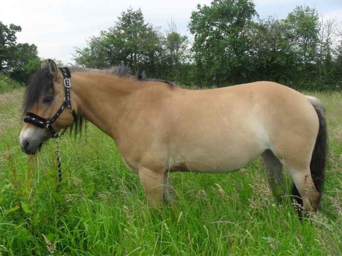 Photo de profil de pompom14