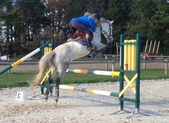 Photo de profil de rockynou91