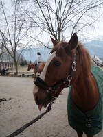 Photo de profil de lenouche