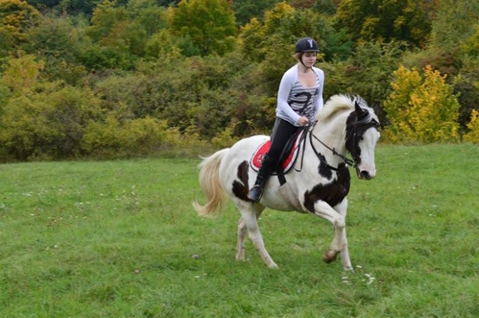 Photo de profil de zahra11
