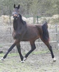 Photo de profil de frederiquee