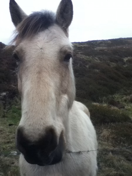 Photo de profil de indigotequiero