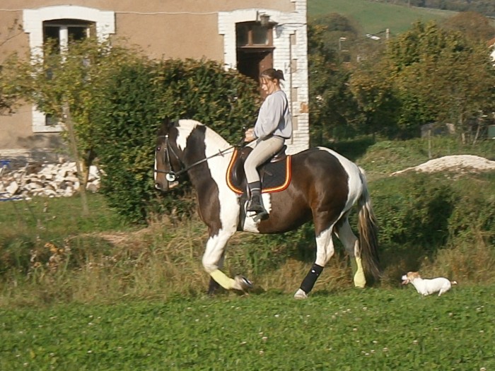 Photo de profil de lovemiko