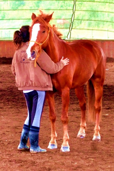 Photo de profil de maolis