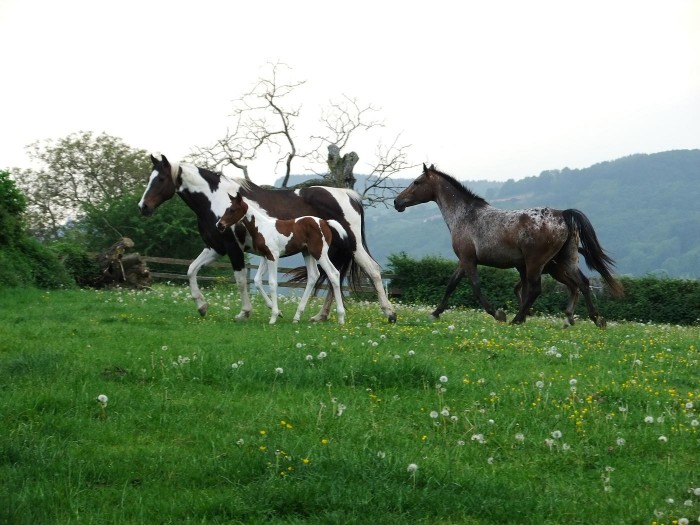 Photo de profil de bergen