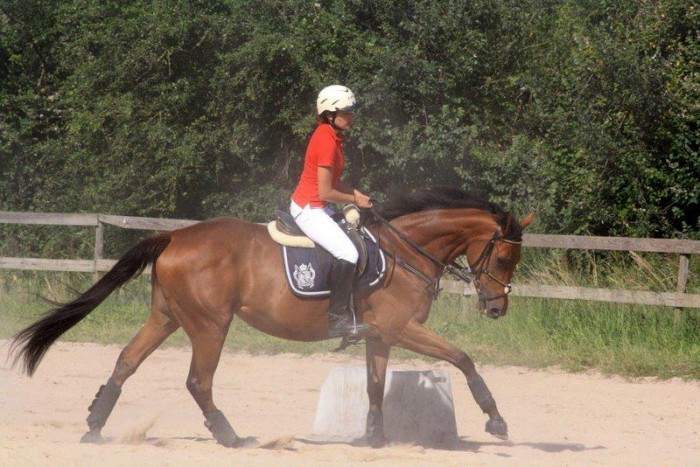 Photo de profil de picha_49