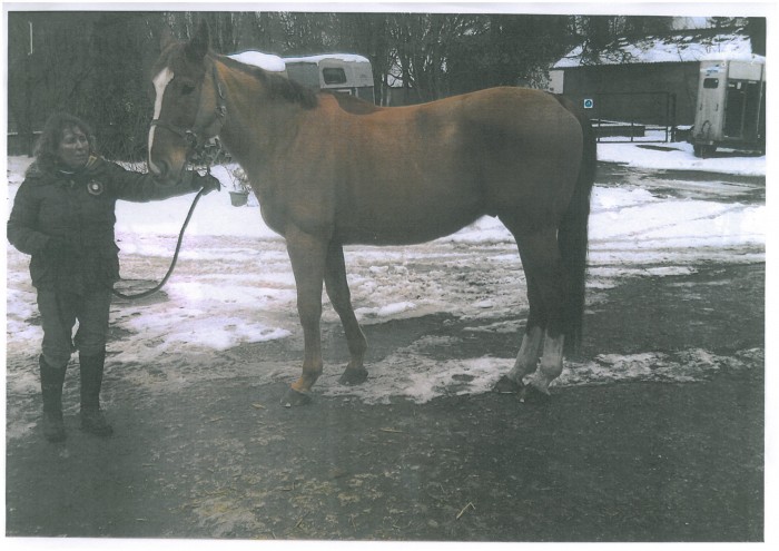 Photo de profil de ajassocies