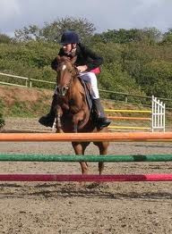 Photo de profil de lucie.horse