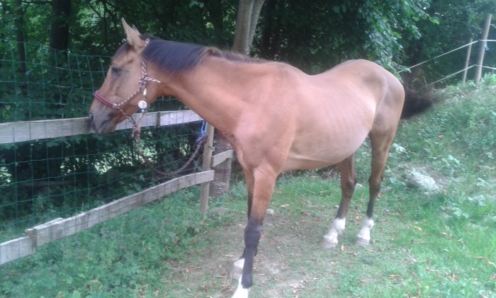 Photo de profil de lisaanne