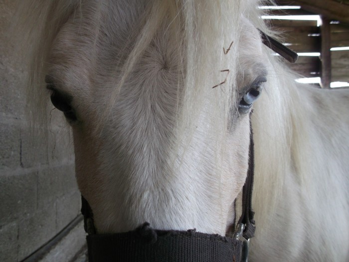 Photo de profil de adelien