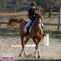 Photo de profil de nonolisa