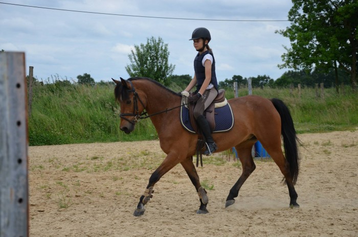 Photo de profil de lea1212