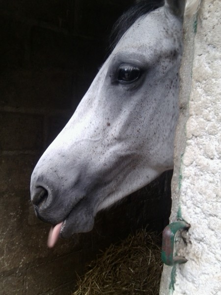 Photo de profil de lilas60