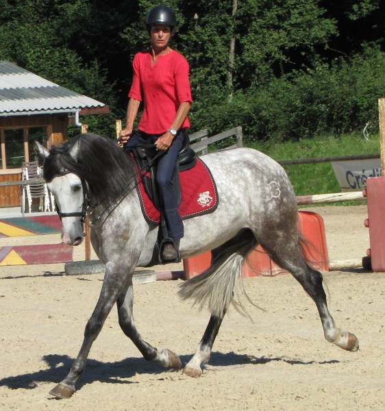 Photo de profil de zozolinette